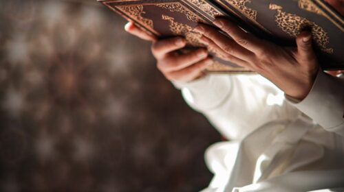 a person sitting down reading a book
