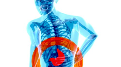 a skeleton with a red circle around it's stomach